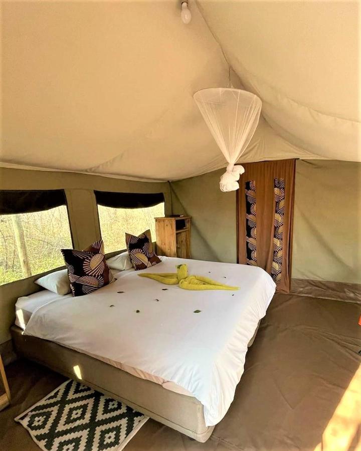 Hotel The Wild Olive Tree Camp Welverdiend  Exterior foto